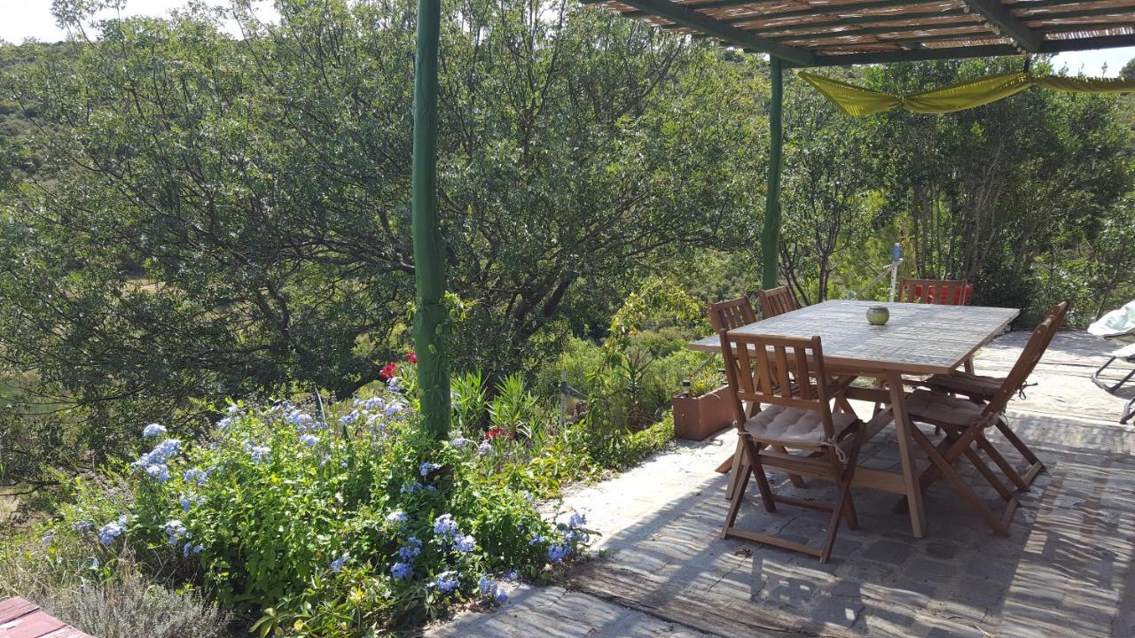 Bed and Breakfast La Loubiere, Ancienne Bergerie En Pleine Garrigue Fraisse-des-Corbieres Экстерьер фото