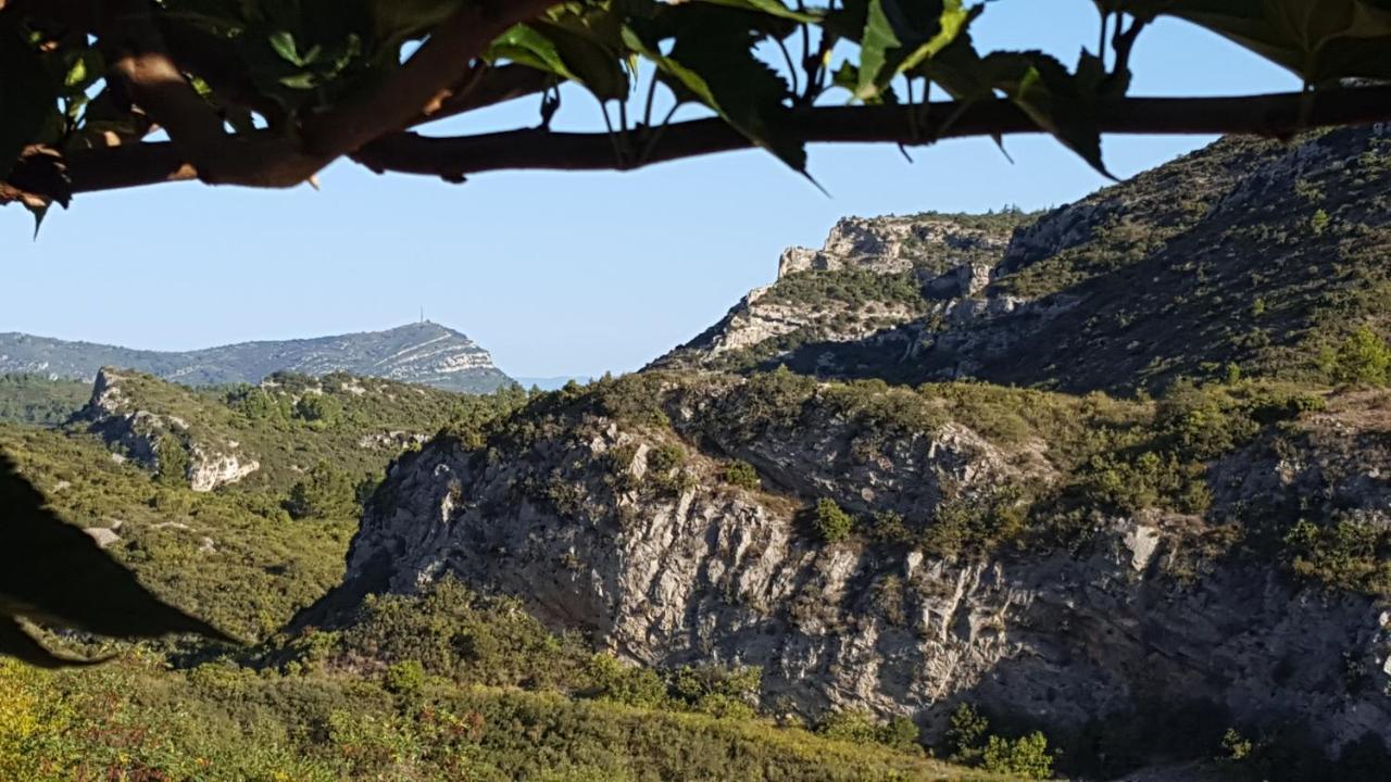 Bed and Breakfast La Loubiere, Ancienne Bergerie En Pleine Garrigue Fraisse-des-Corbieres Экстерьер фото