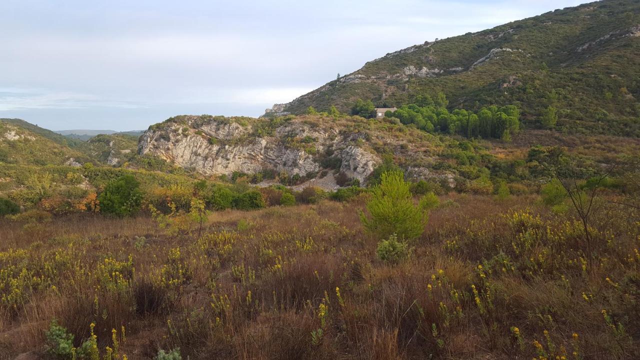 Bed and Breakfast La Loubiere, Ancienne Bergerie En Pleine Garrigue Fraisse-des-Corbieres Экстерьер фото