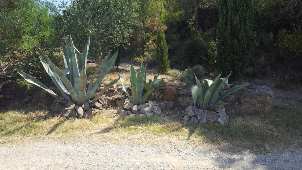 Bed and Breakfast La Loubiere, Ancienne Bergerie En Pleine Garrigue Fraisse-des-Corbieres Экстерьер фото